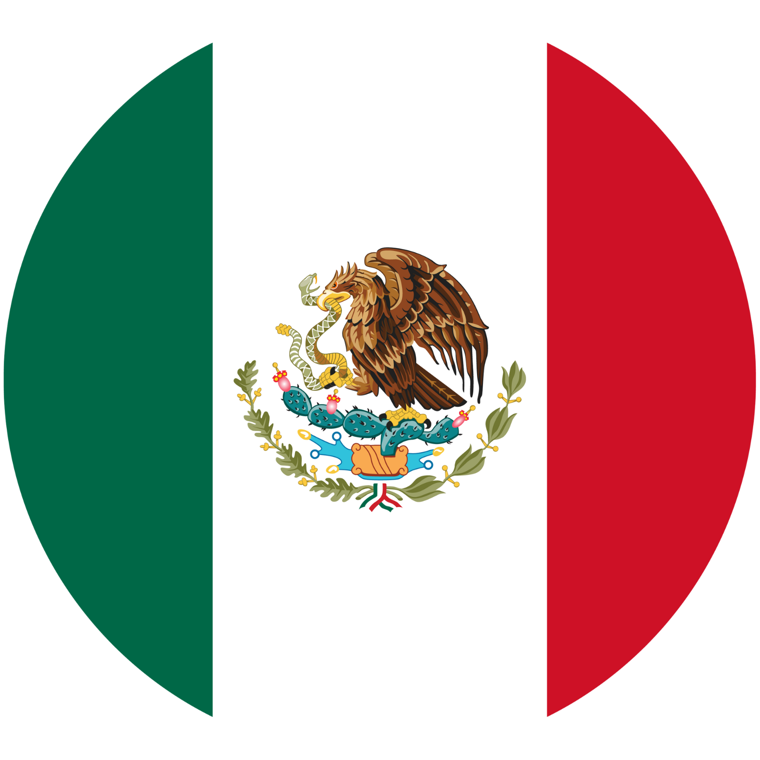 Mexico FLAG 1