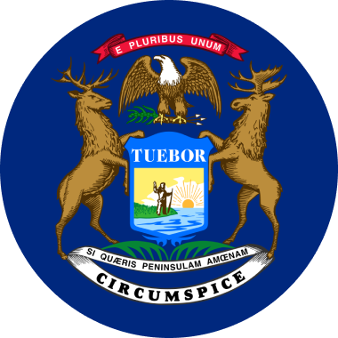 Michigan Flag