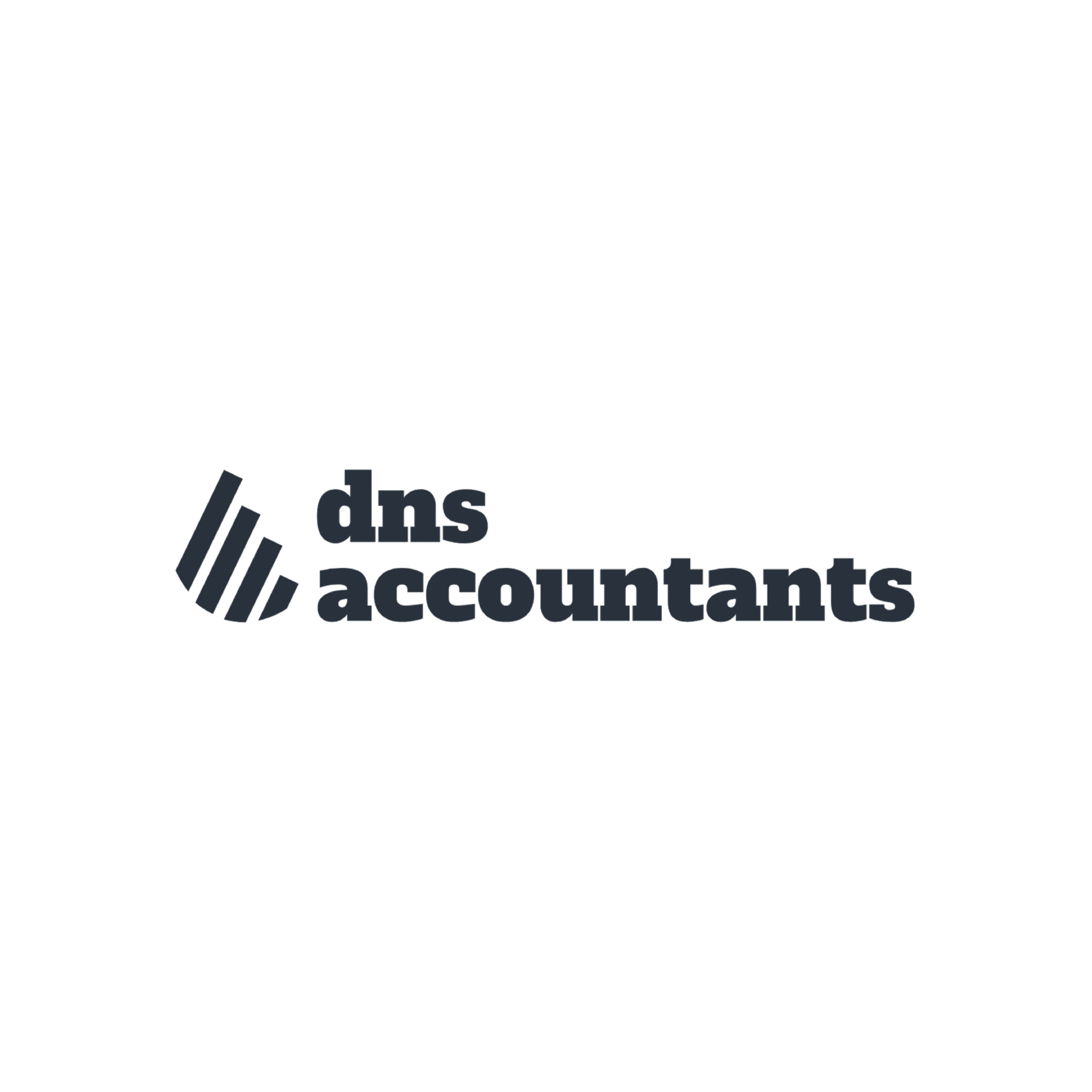 PARTNERSHIP LOGOS DNS ACCOUNTANTS 2 scaled