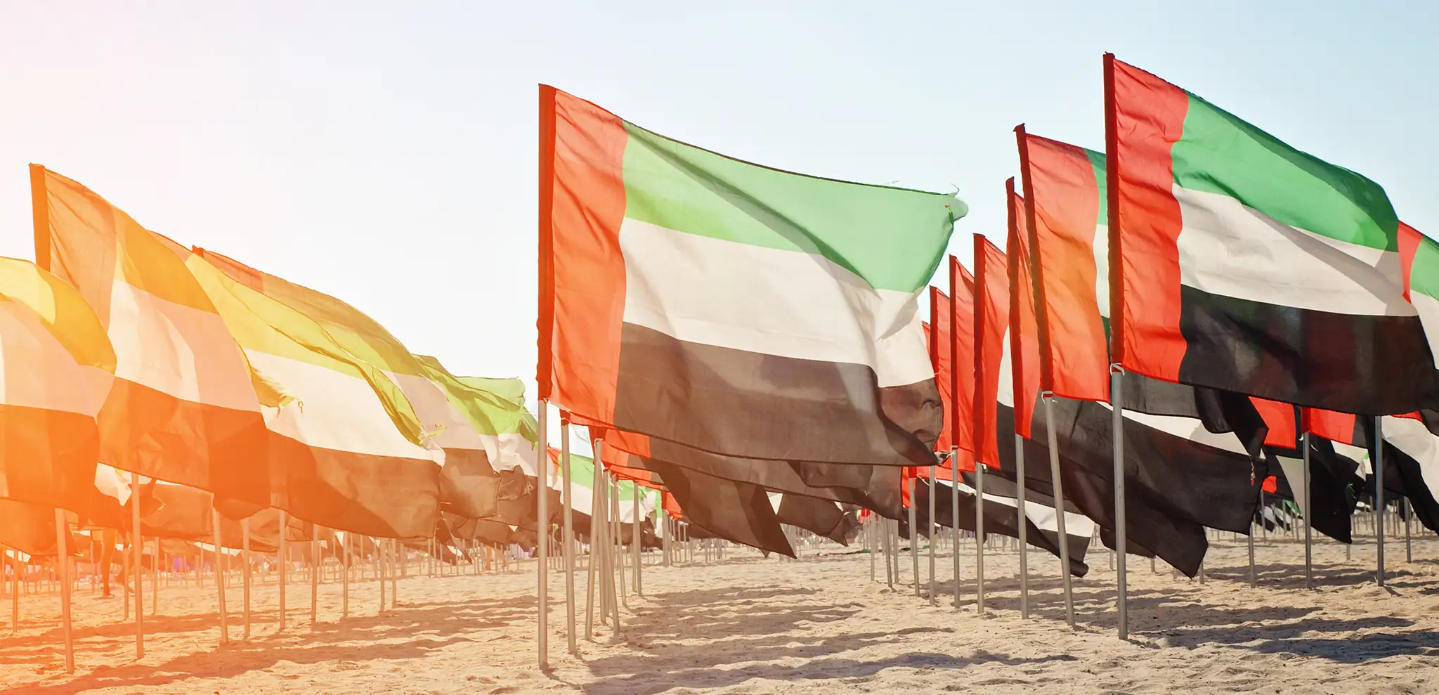 UAE Flags