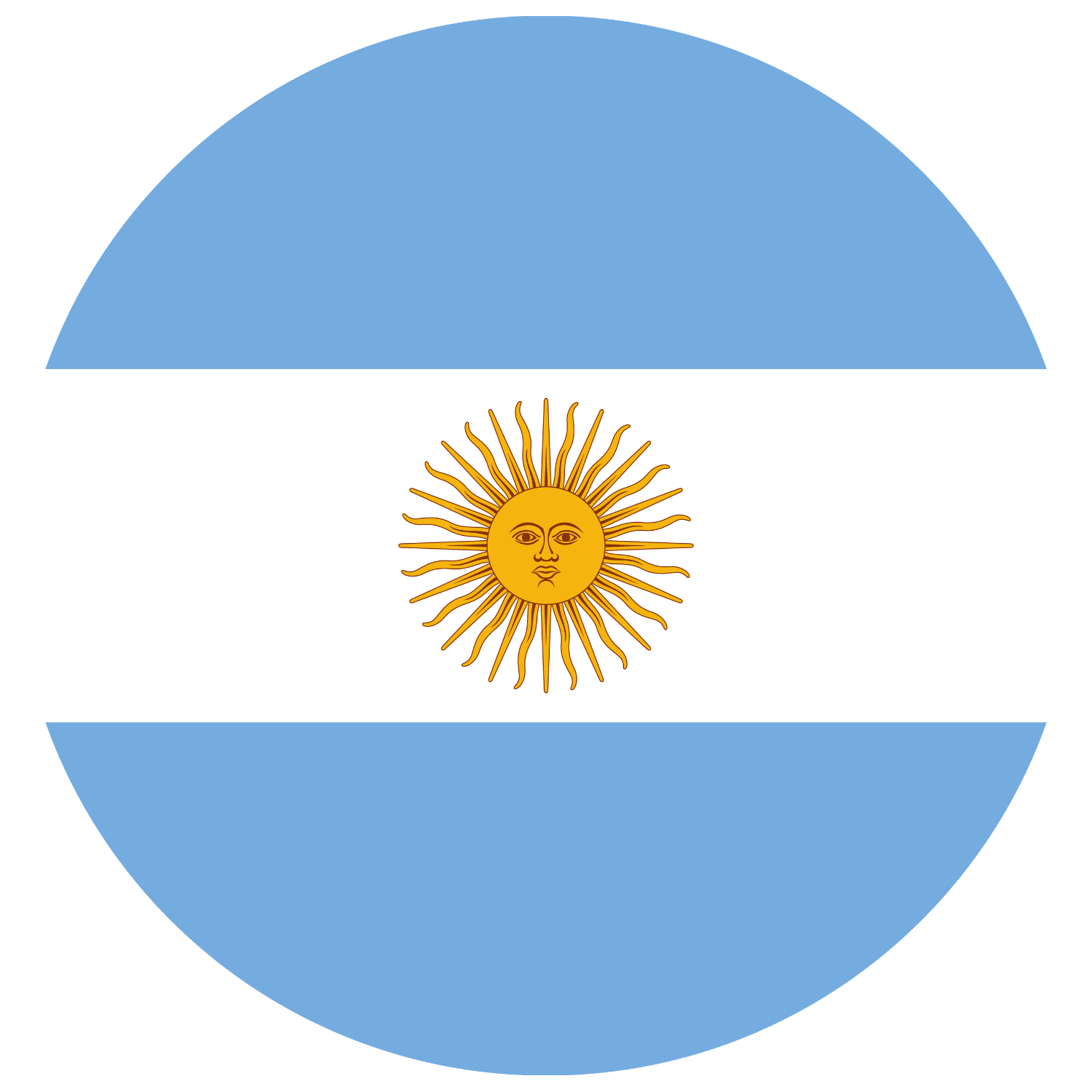 arg flag